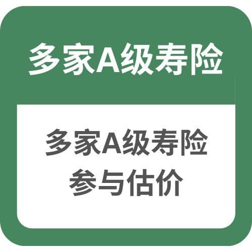多家A级寿险:多家A级寿险参与估价
